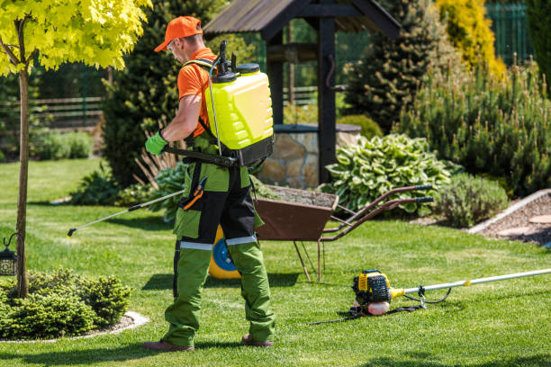 Best Fumigation Services  in Payne, OH